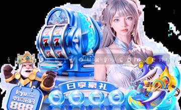 浏览栏目总览